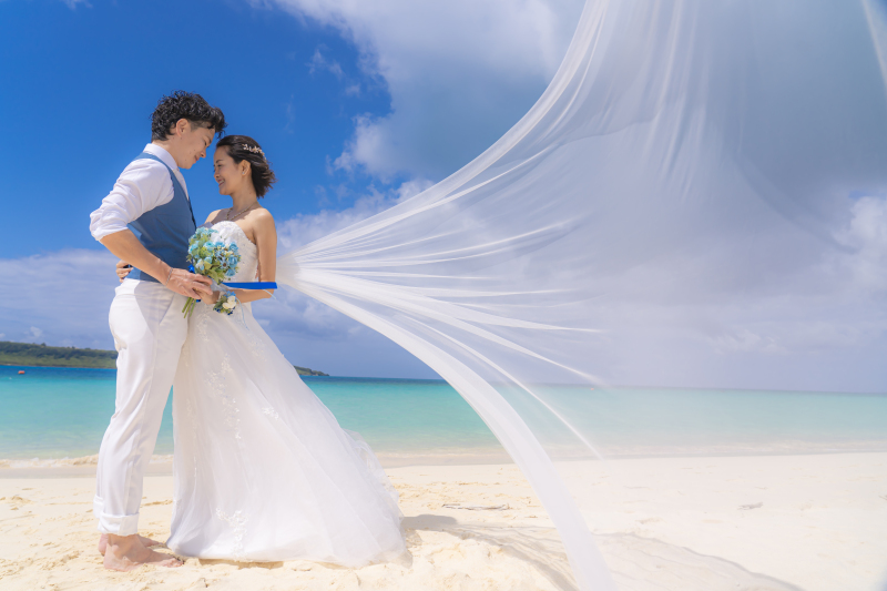 ロングベールショット