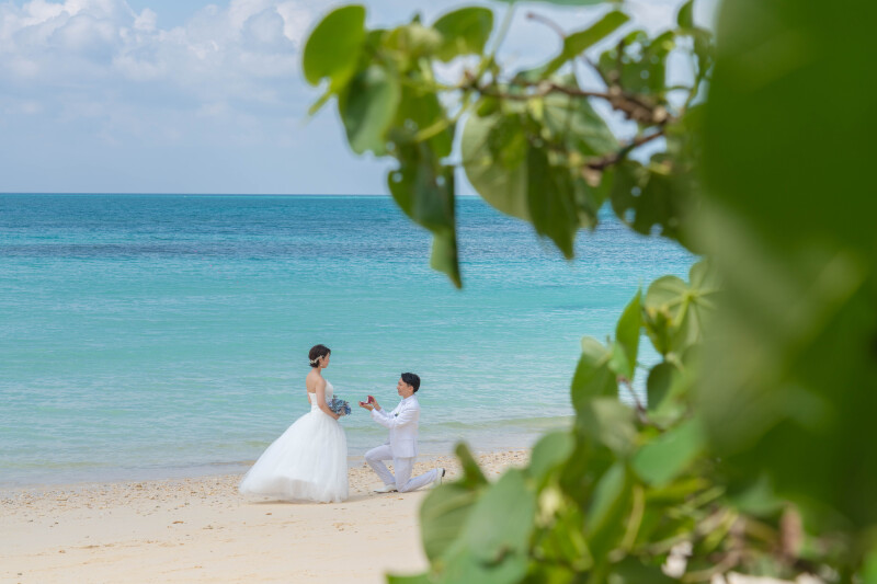 緑に見守られたプロポーズ