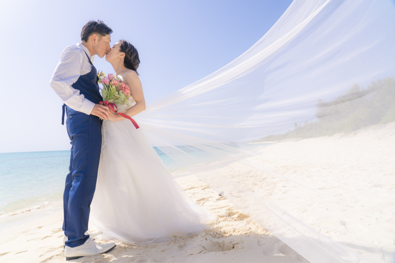 ロングベール✧