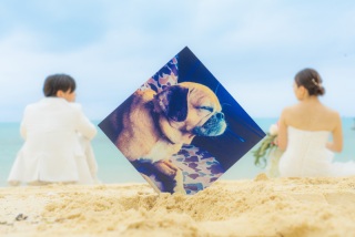 大切な家族と一緒に