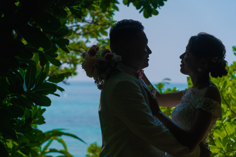 木陰に浮かぶシルエット