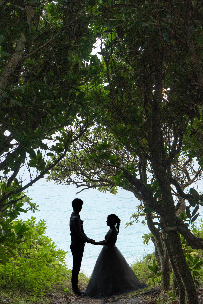 木々の間に浮かぶ、幻想的なシルエット