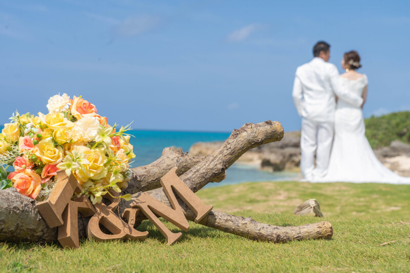 未来を見つめるバックショット