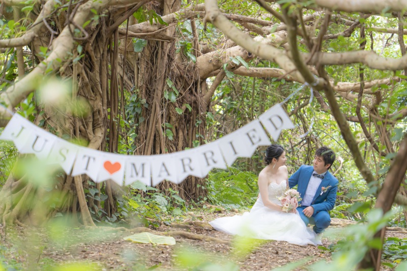 カジュマルの木の下で