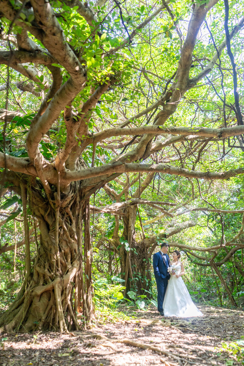 ビーチ&グリーン撮影【3⽉お申込み限定】定価89800円&rarr;75,000円 1.5万円お得！100カット＆ドレス＆プロヘアメイク付