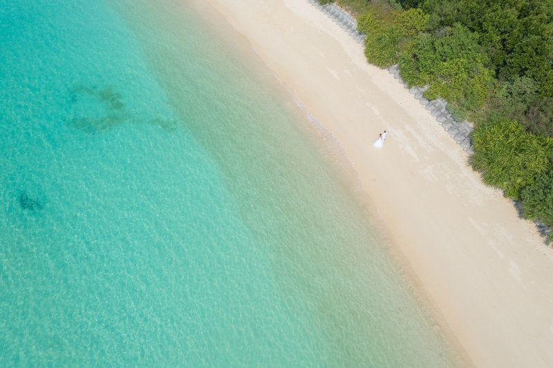 今月限定 ビーチ&グリーン撮影 ドローン撮影有【定価114800円&rarr;89000円 2.6万円お得！120納品＆ドレス＆ヘアメイク