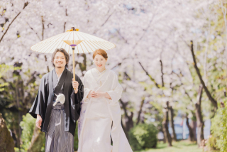 名古屋城桜フォト