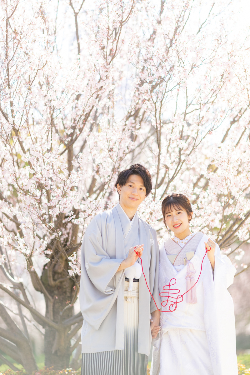 華やかな桜と一緒に♩