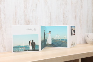 トワル（12カット）