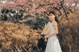 春の撮影ならではのお写真です♪