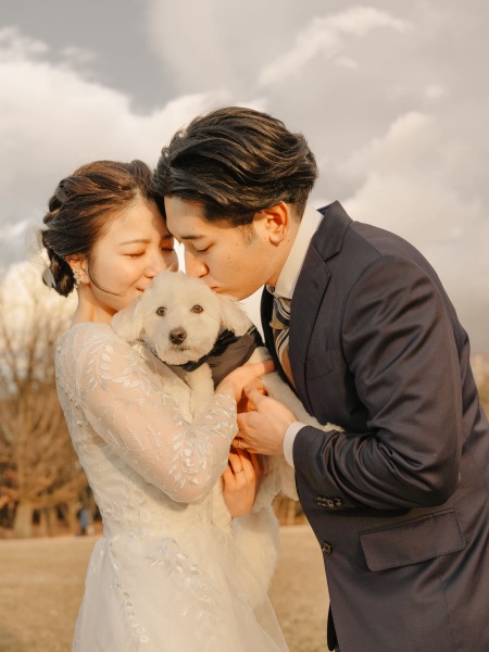 真っ白なかわいい犬と一緒に