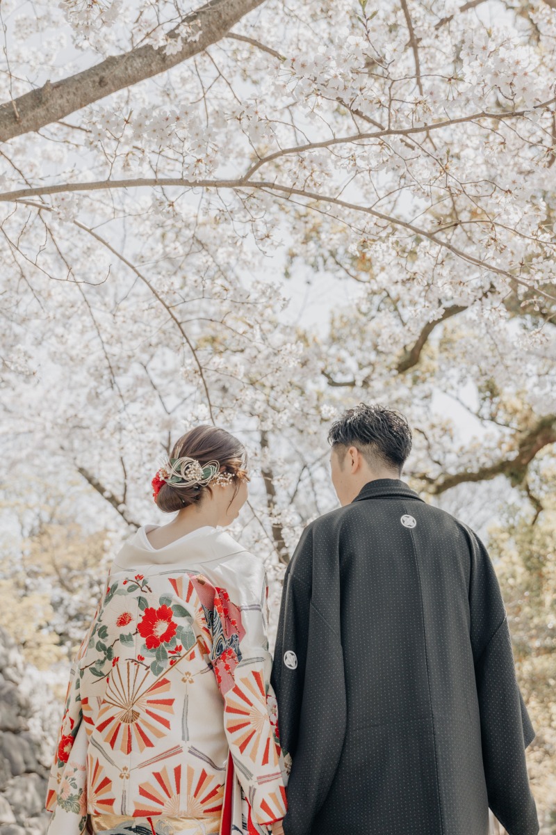 満開の桜✿