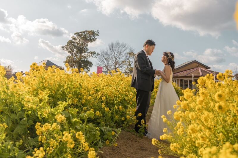 THE STORY WEDDING 