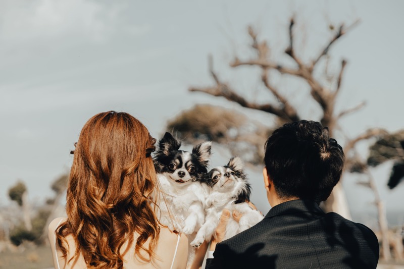 THE STORY WEDDING _家族・友人を撮影に呼べる