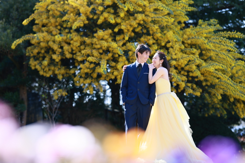 春のミモザロケーション