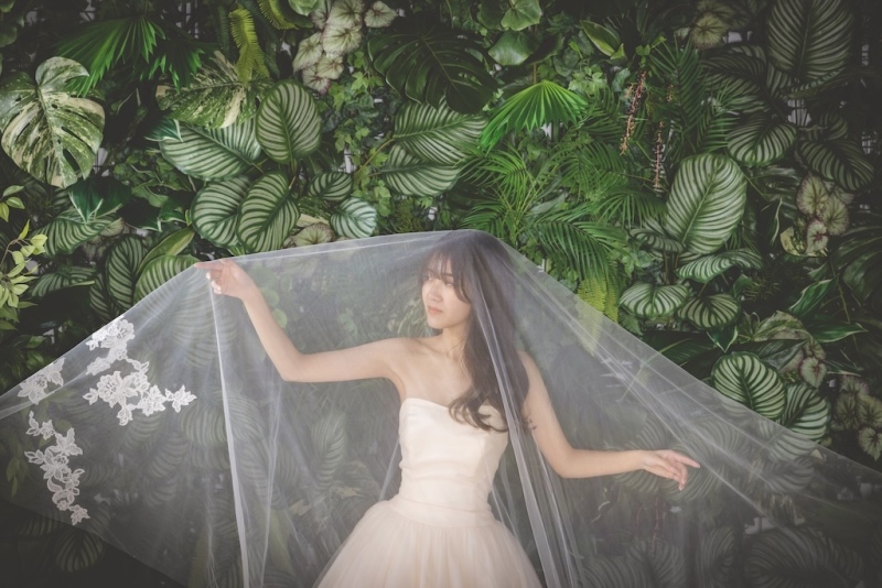 グリーンバック