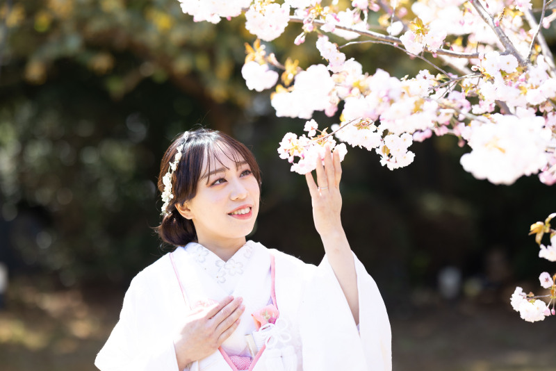 和装桜コーディネート