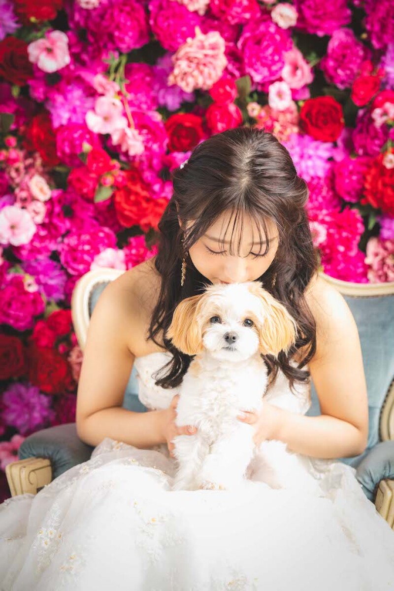 STUDIO YISONS［スタジオ イソンズ］_ペットと一緒に撮影できる