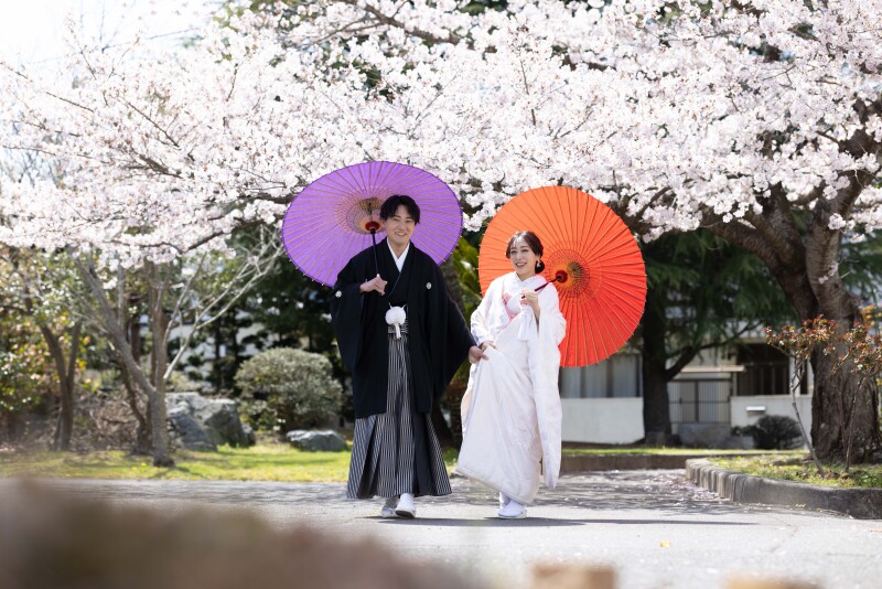 【和装 庭園・神殿 撮影プラン】和装2着  白無垢・色打掛&紋服 20ページアルバム アルバムデータ付き♪ 衣装追加費用無し♪