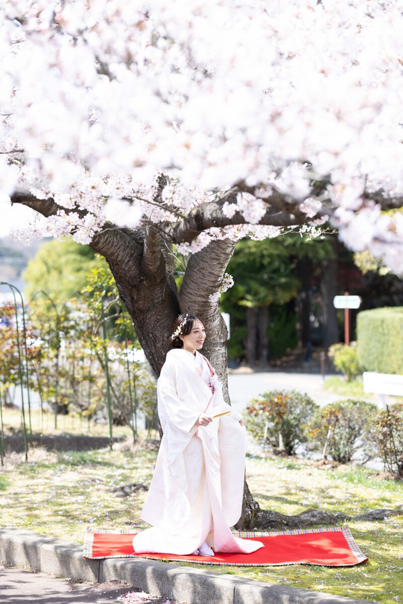 【和装 庭園・神殿 撮影プラン】和装2着  白無垢・色打掛&紋服 20ページアルバム アルバムデータ付き♪ 衣装追加費用無し♪