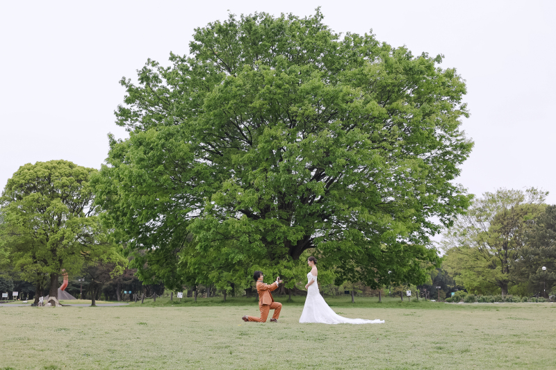 絵画のような一枚