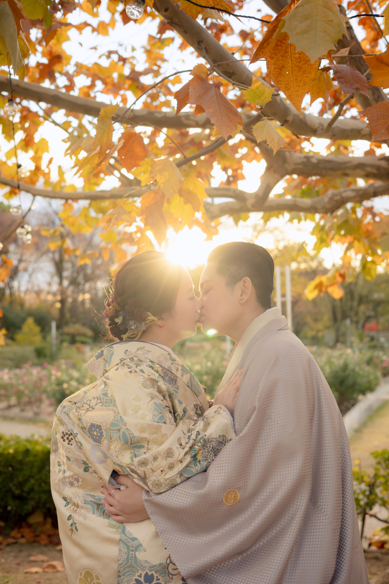 差し込む柔らかな光