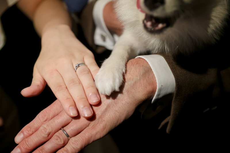 3人で手を取り合って