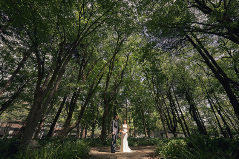 緑豊かな白川公園