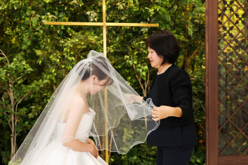 ベールダウンの風景も