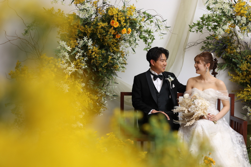 ミモザに囲まれて