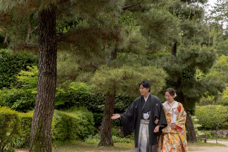 松風に寄り添う散策
