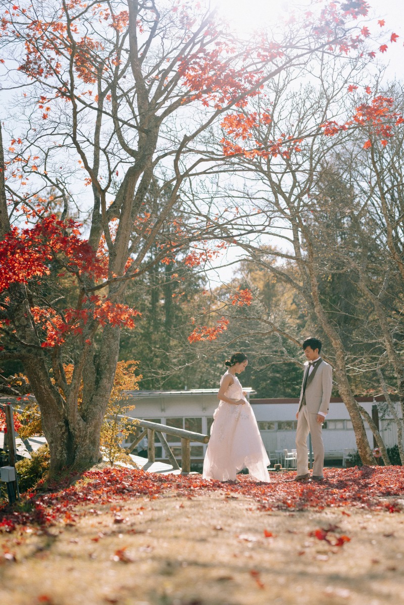 日常を切り取るだけ