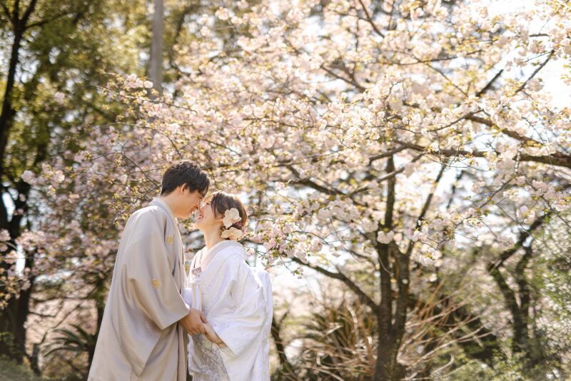 日本の四季の美しさを感じる