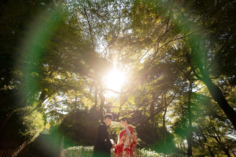 緑豊かな木々から差し込む光