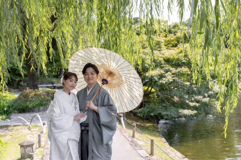 柳の緑に映える和傘の彩り