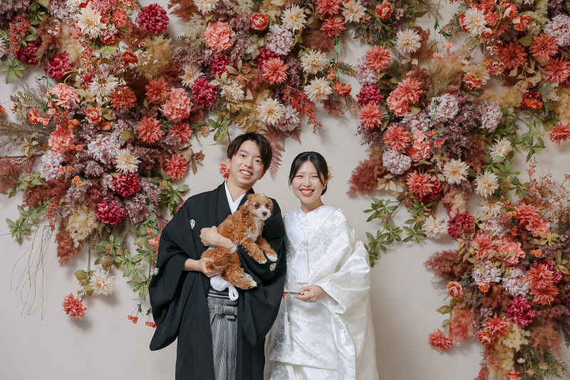 わんちゃん登場!