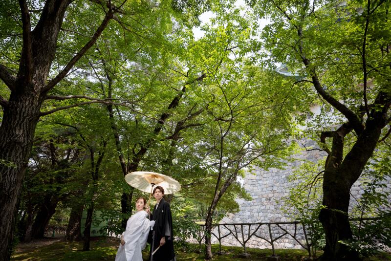 スポットのように差し込む美しい光