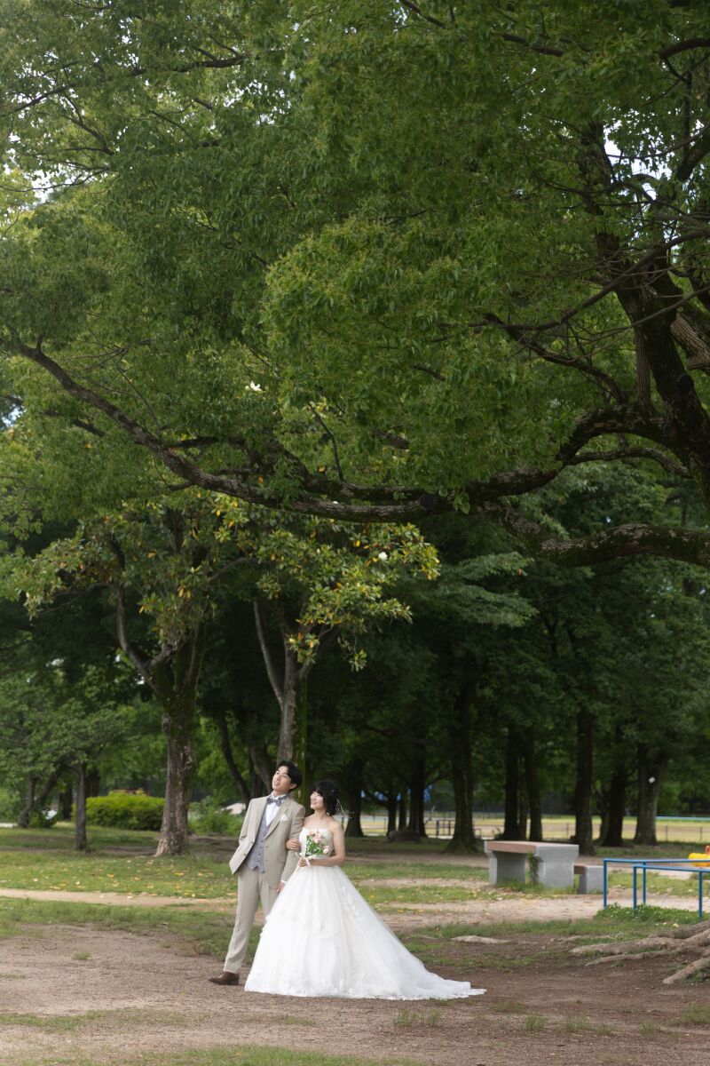 大樹の下で見上げる未来