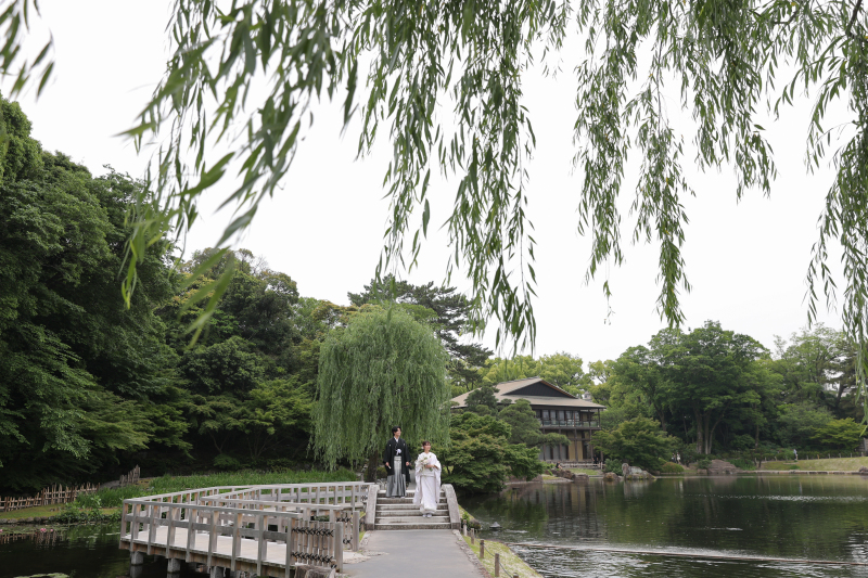 揺れる柳と、風を受けて