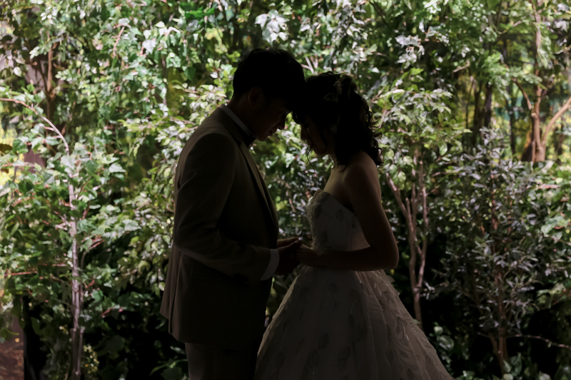 クロリにある森