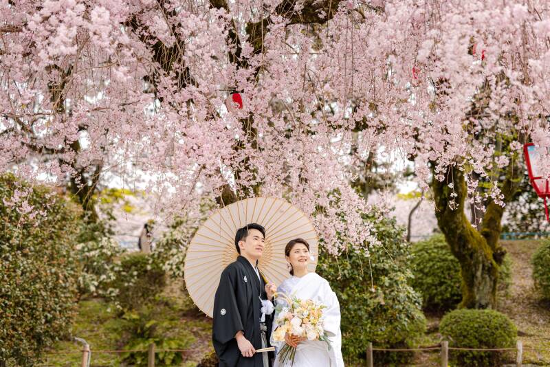 枝垂れ桜の木の下で