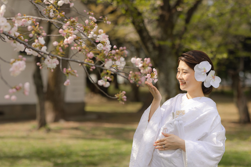 桜で撮影できてよかった