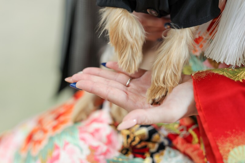 studio clori. NAGOYA_ペットと一緒に撮影できる