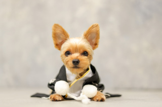 studio clori. NAGOYA