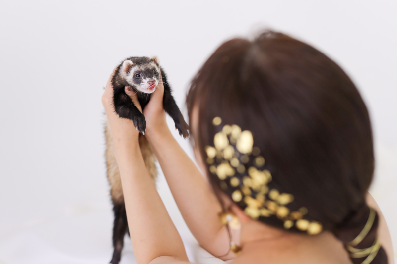 色んなペットとの撮影も叶えられる♪