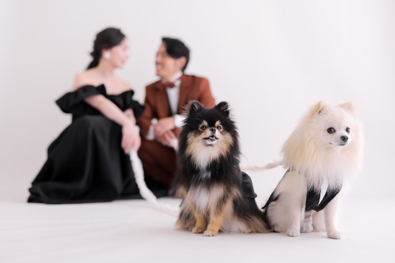 Point1 多彩な撮影シーン