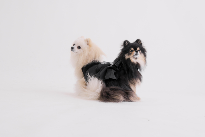 Point1 多彩な撮影シーン