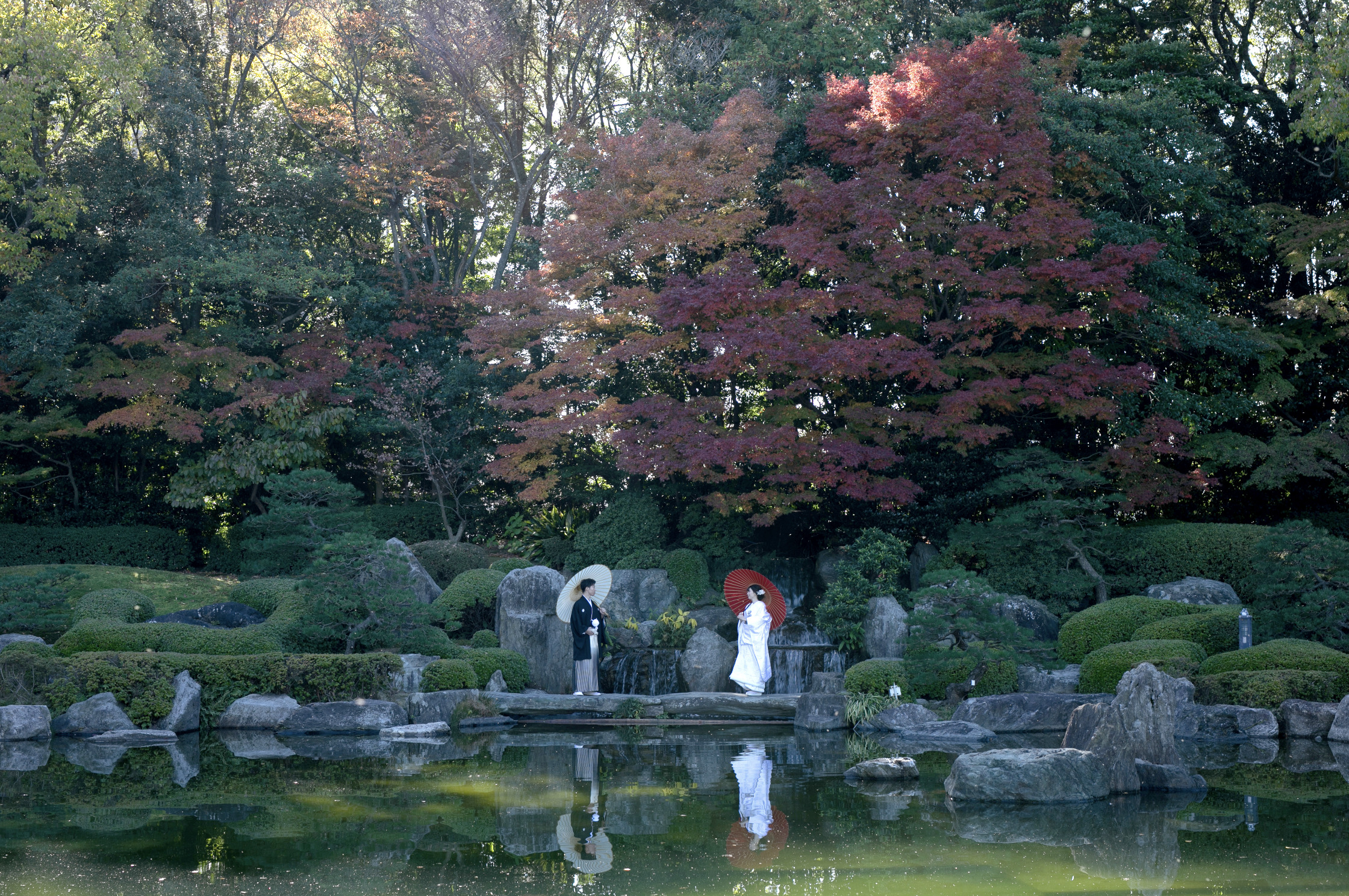 ヘアメイクの技術 写真1 before