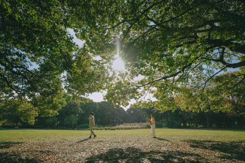 撮影スポット画像