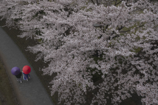 お二人と一緒になって楽しむことをモットーに